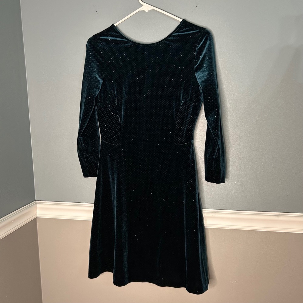 Zara Basic Green Velvet Glitter Dot Fit and Flare Dress Long Sleeve Small